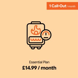 Essential Plan